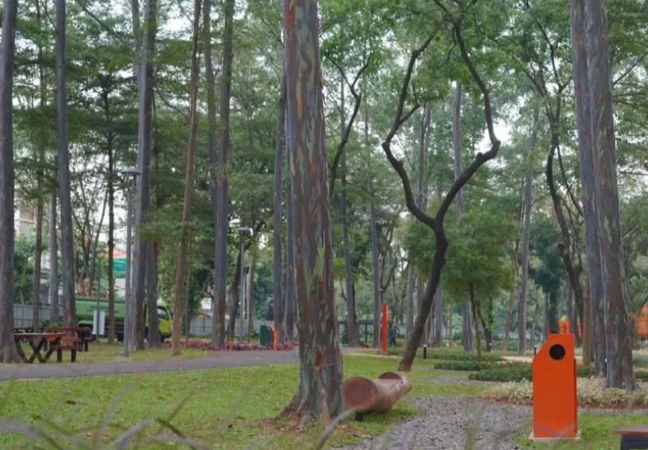 Heboh Komunitas Minta Rp 500 Ribu ke Fotografer di Tebet Eco Park, Pengelola Langsung Bertindak
